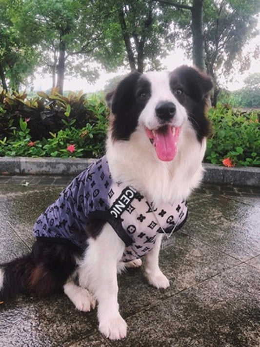 Gilet d'été respirant pour chiens de grande taille, petits et moyens chiens&cats - Bouledogue Mania