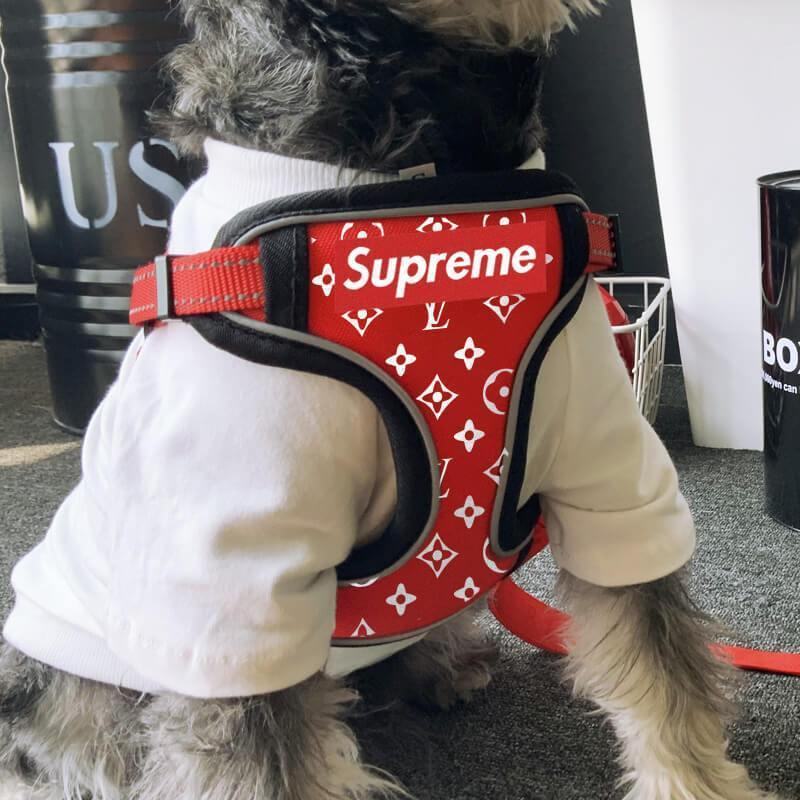 Pupreme Box Logo harnais laisse set lv 236# - Bouledogue Mania