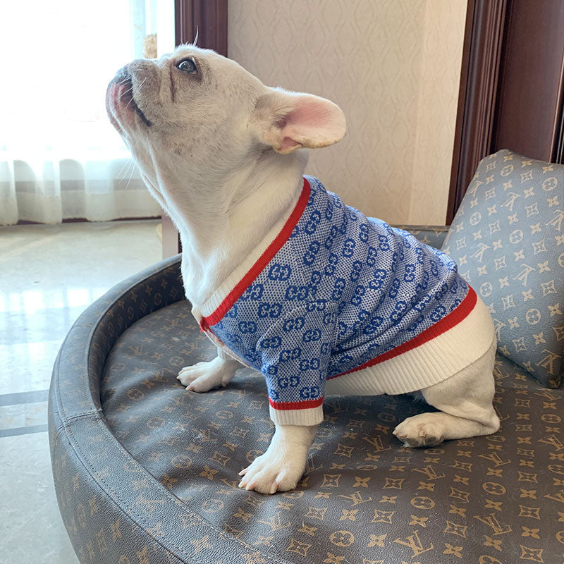 Pull pour chien bleu Gucci