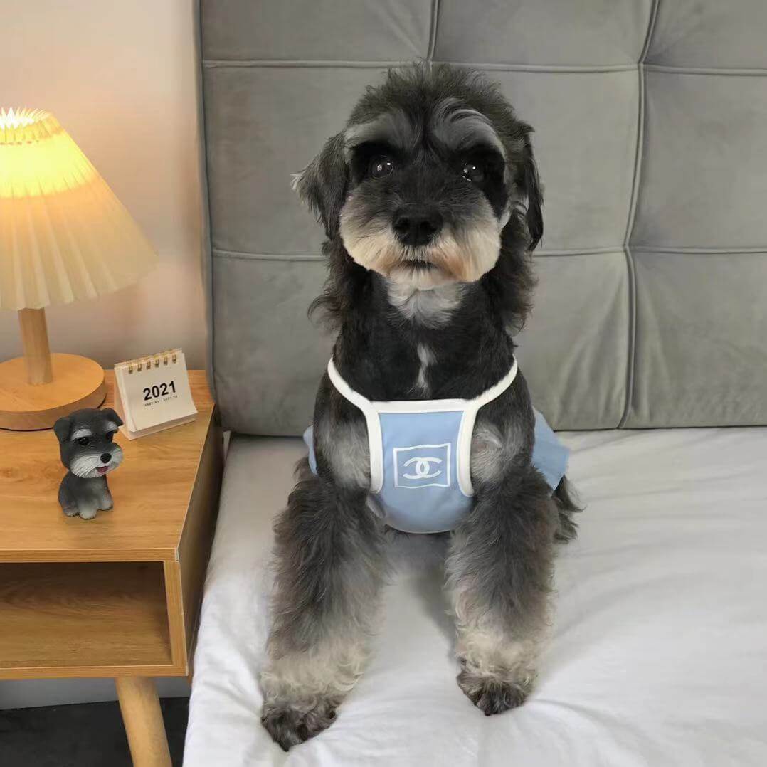 Gilet et jupe d'été légers et respirants pour chiens et chats de petite et moyenne taille. - Bouledogue Mania