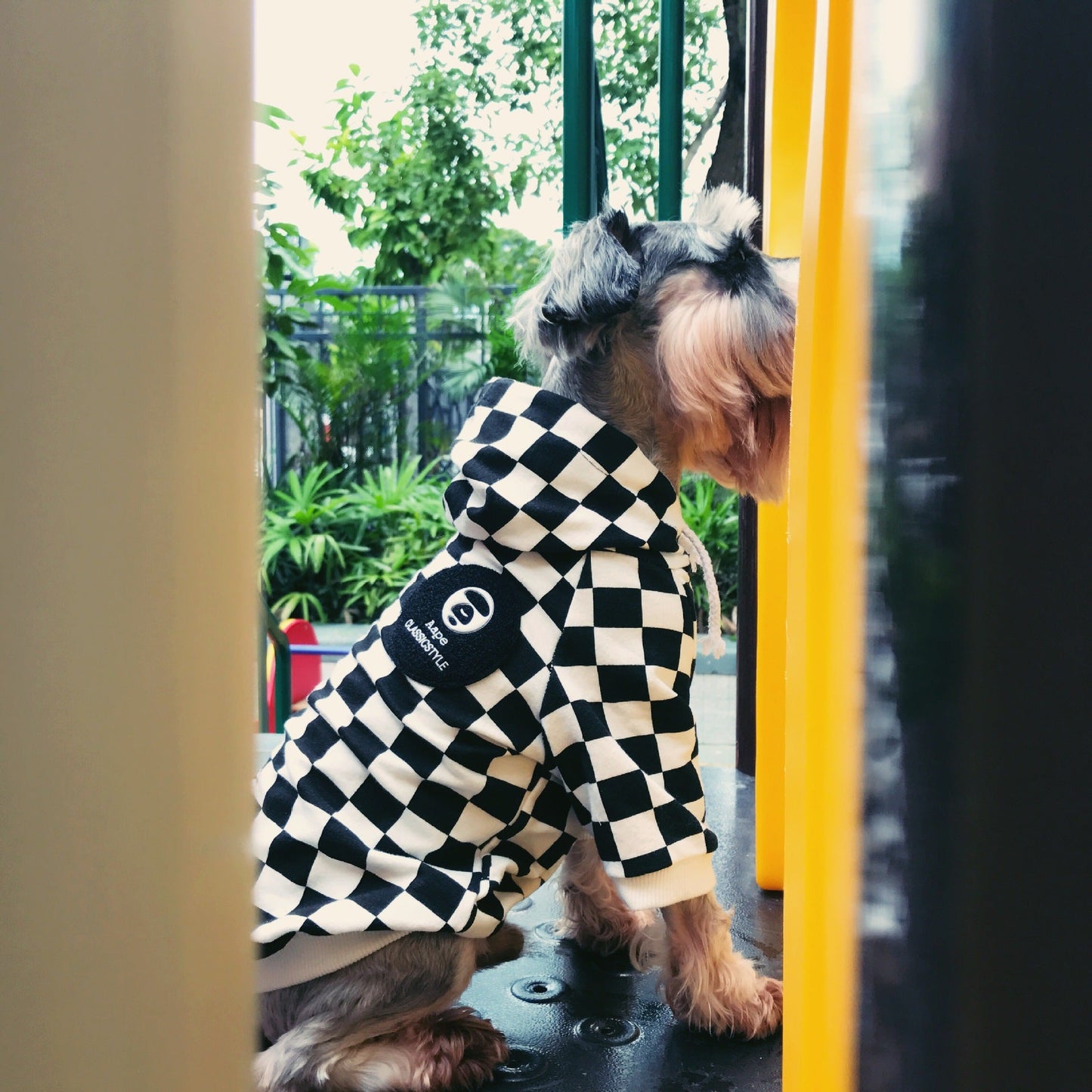 Sweat à capuche à carreaux A Barking Pup