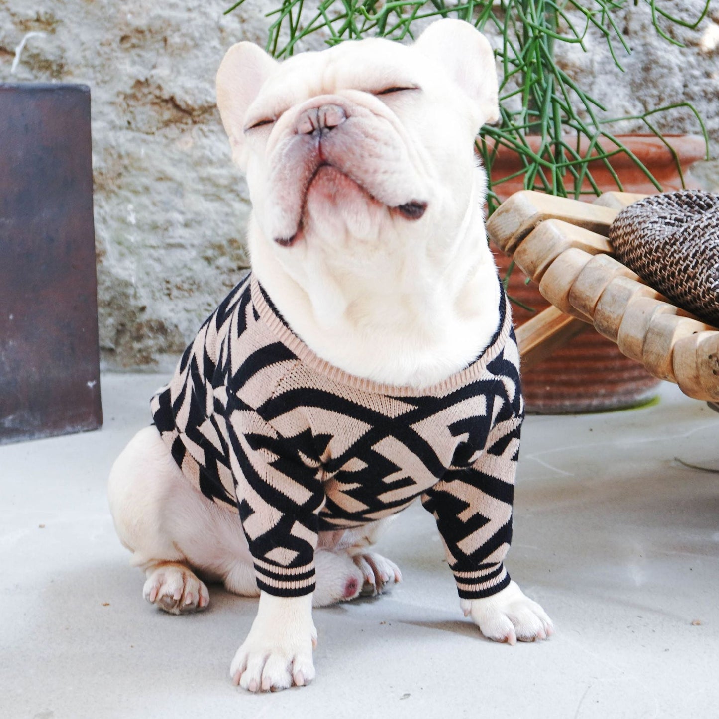 Pull Classique Fendi pour Chiens