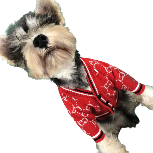 Pawcci Red Sweater