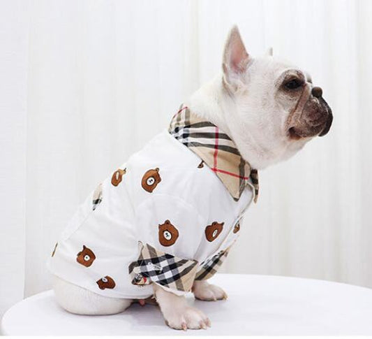 chemise purberry Bear -w180# - Bouledogue Mania