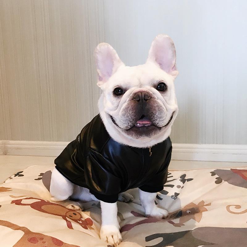 Veste en cuir de luxe pour chien | Remise importante-W059 - Bouledogue Mania