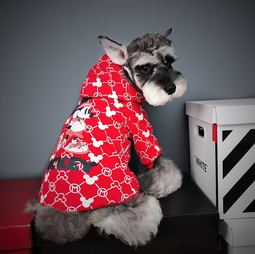 Sweat à capuche pour chien mode classique rouge - Bouledogue Mania