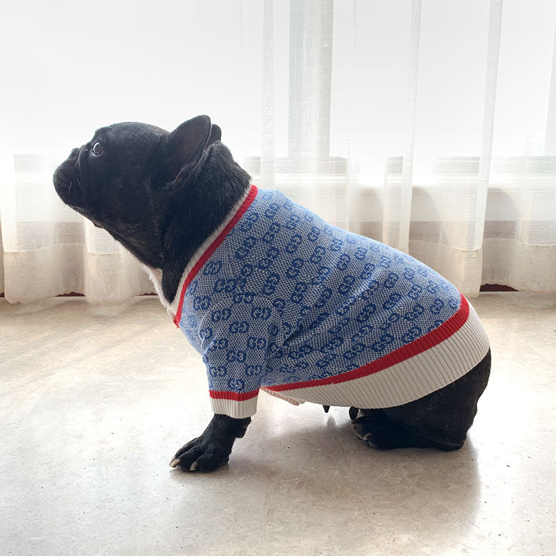 Pull pour chien bleu Gucci