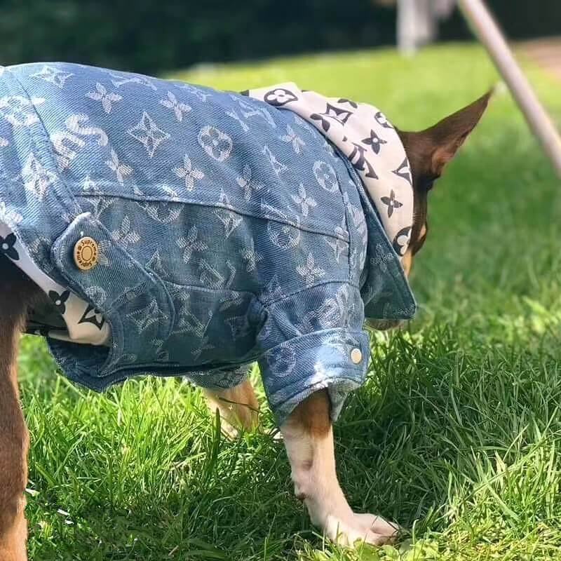 Pupreme chien bleu veste demin LV - 194# - Bouledogue Mania