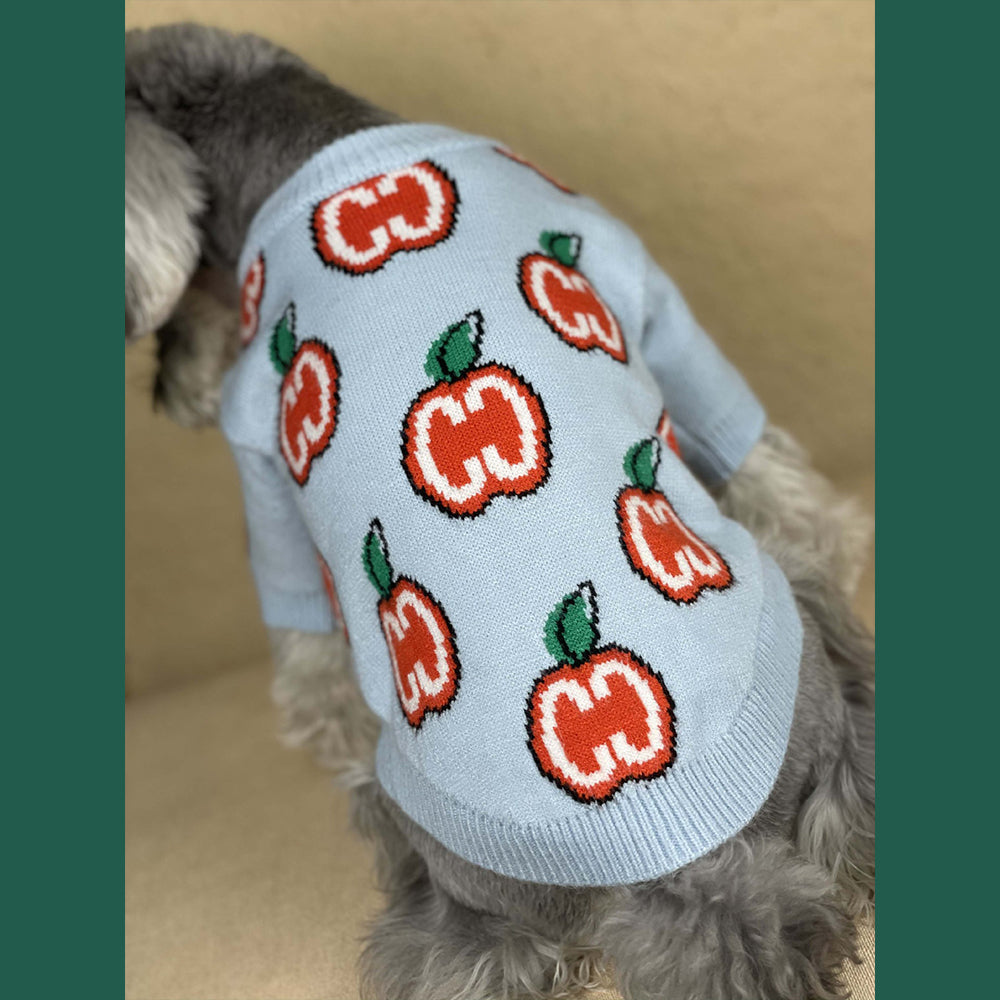 Pull pour chien Pomme Gucci