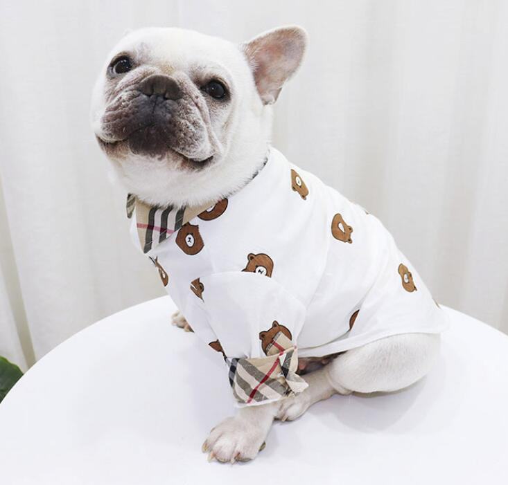 chemise purberry Bear -w180# - Bouledogue Mania