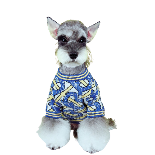 Pull Burberry Bleu pour chiens