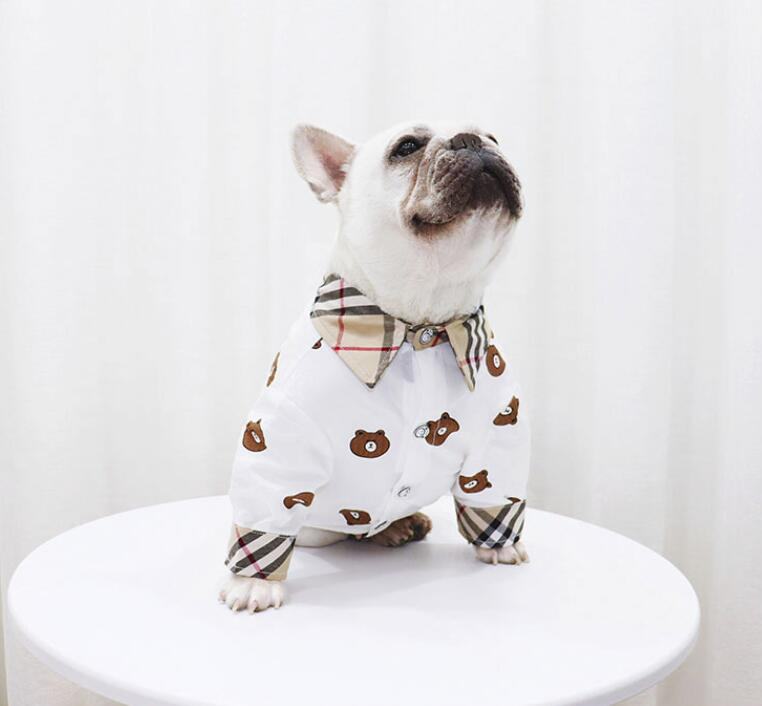 chemise purberry Bear -w180# - Bouledogue Mania