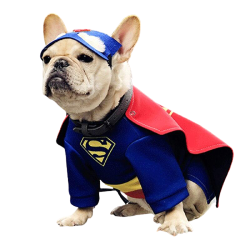 Costume Superman pour chiens