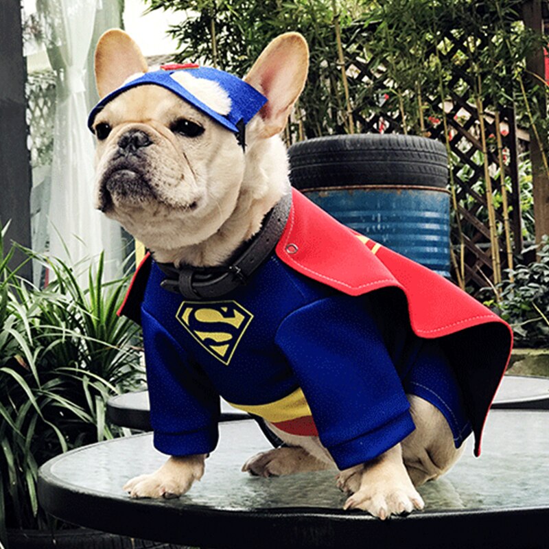 Costume Superman pour chiens