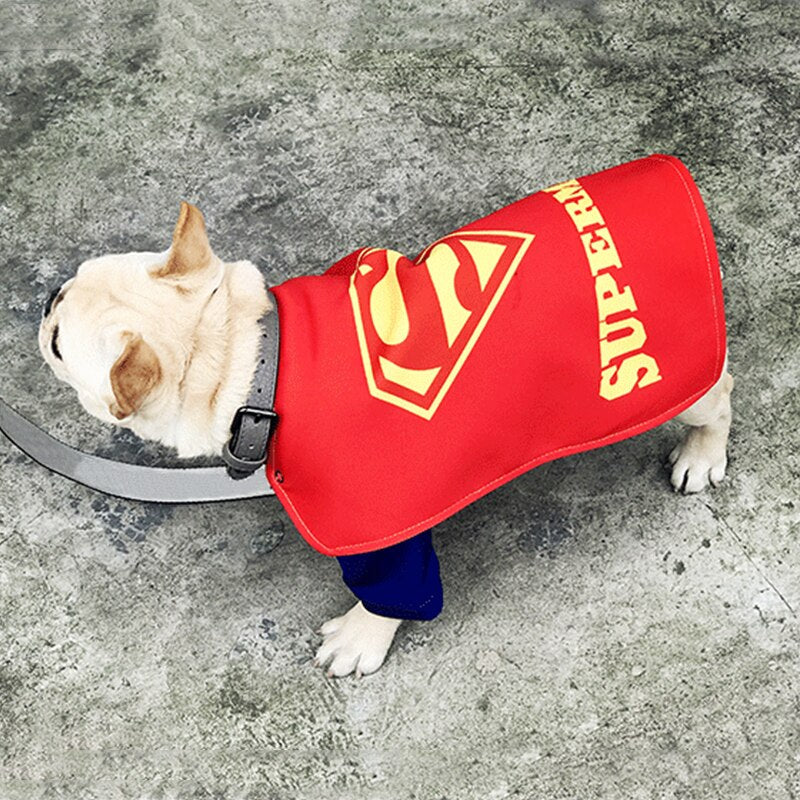 Costume Superman pour chiens