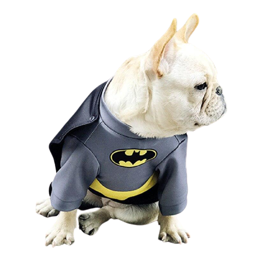 Costume Batman pour chiens