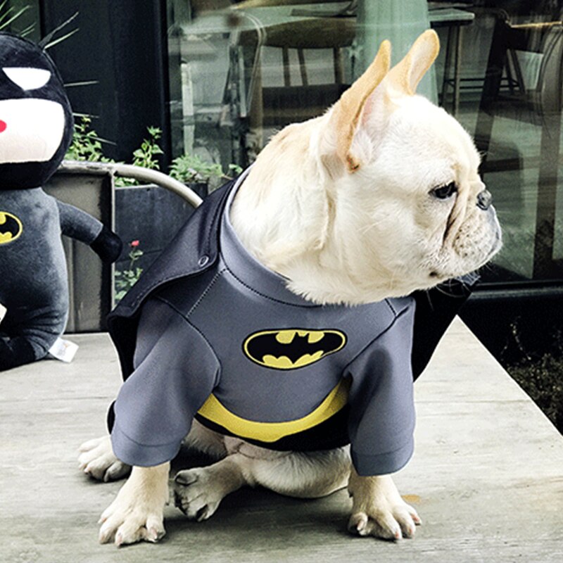 Costume Batman pour chiens