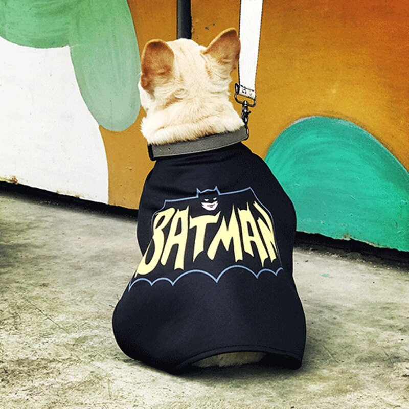 Costume Batman pour chiens