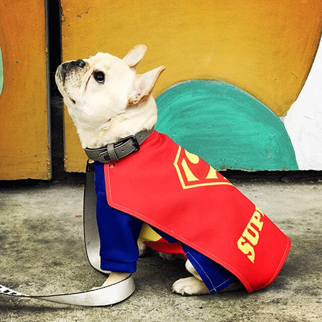 Costume Superman pour chiens