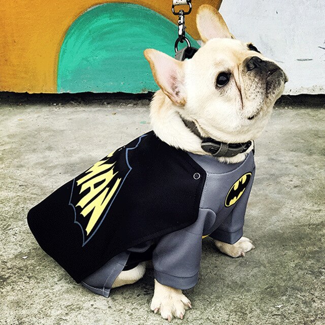 Costume Batman pour chiens