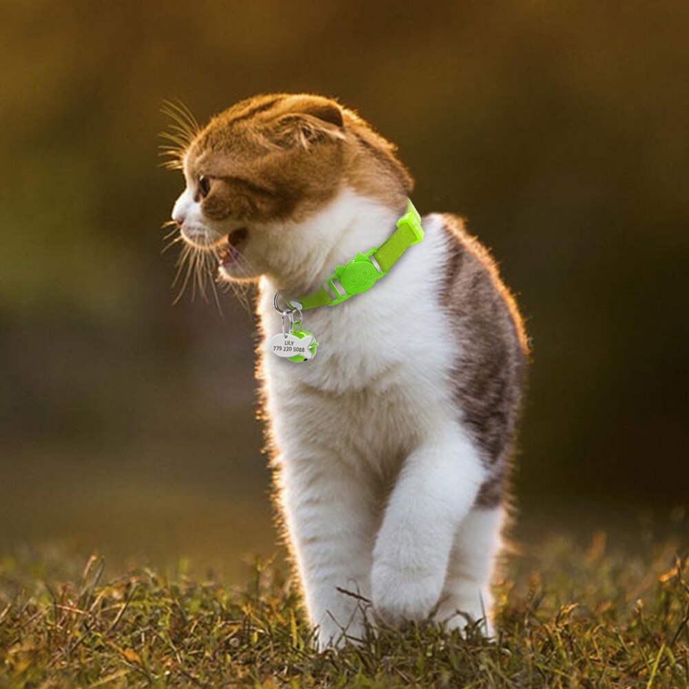 Collier en cuir pour chat avec plaque d'identification gravée personnalisée