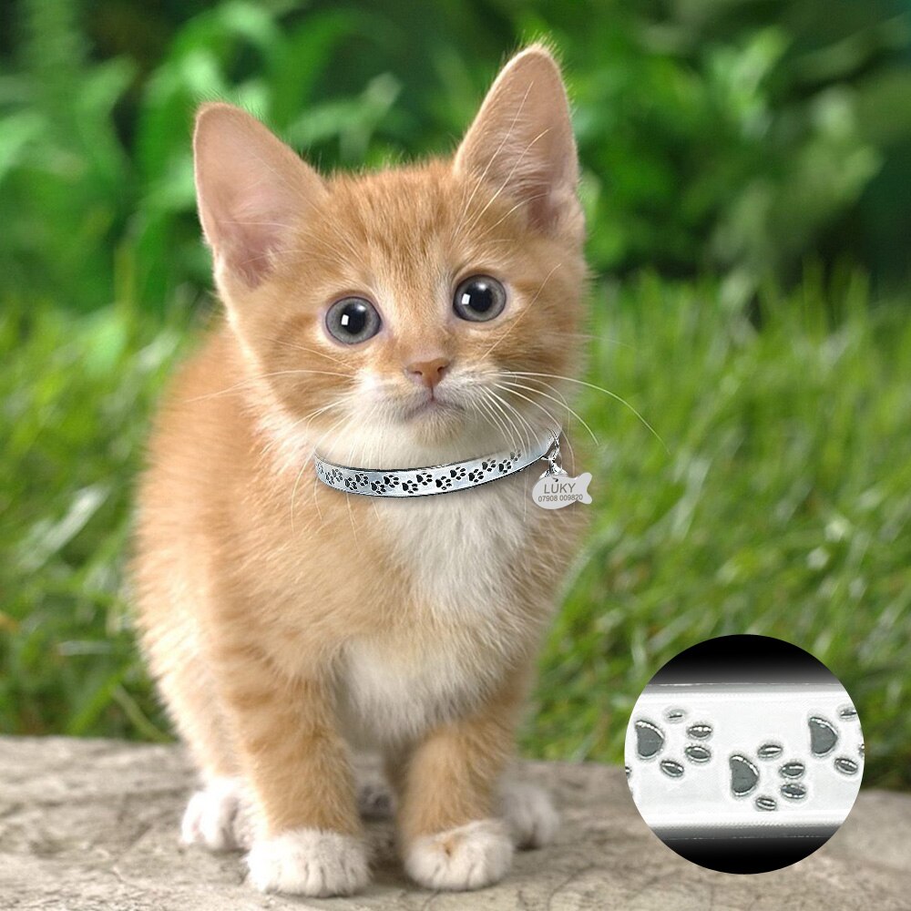 Collier réfléchissant pour chat avec étiquette d'identification personnalisée