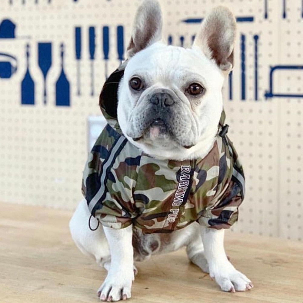 Imperméable pour chien Camo