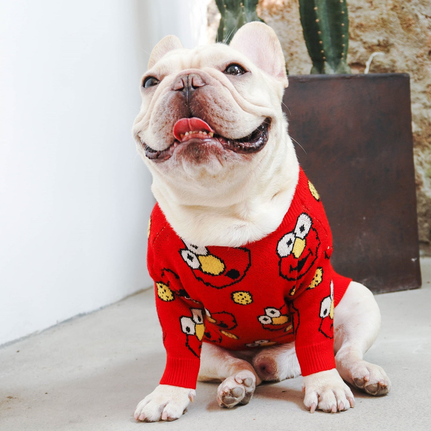 Pull chien PawStreet Elmo