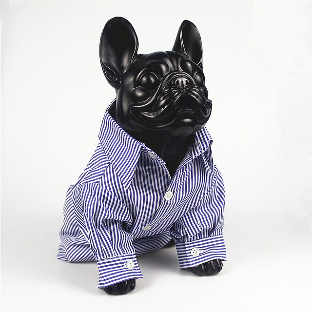 Chemise bleue Doggy