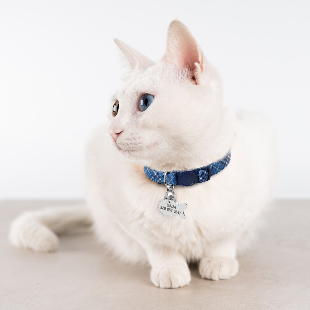 Collier et cloche pour chat avec plaque d'identification personnalisée