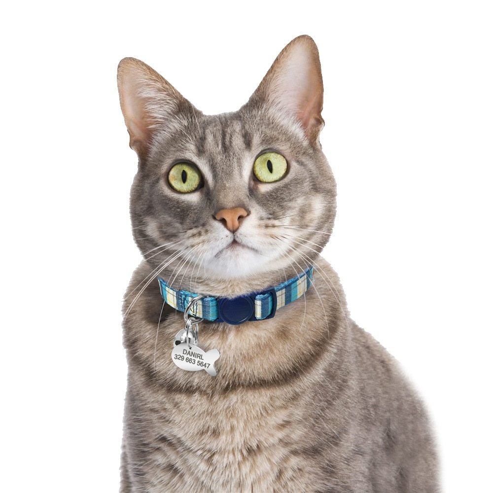 Collier et cloche pour chat avec plaque d'identification personnalisée