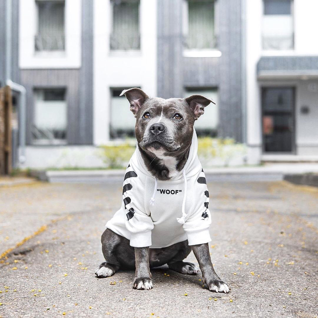 Woof-White Treats - Sweat à capuche blanc/noir