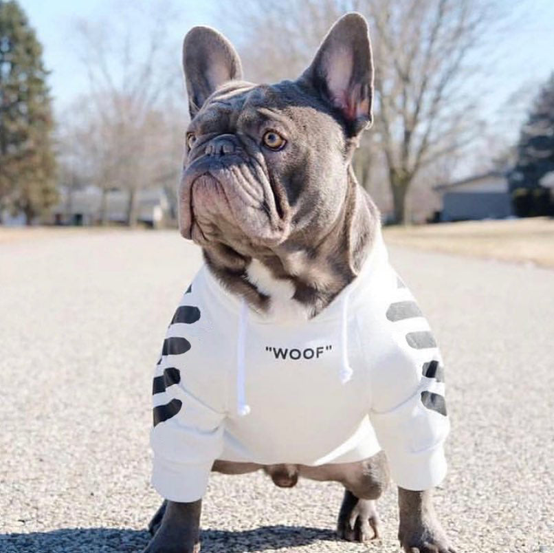 Woof-White Treats - Sweat à capuche blanc/noir