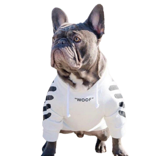 Woof-White Treats - Sweat à capuche blanc/noir