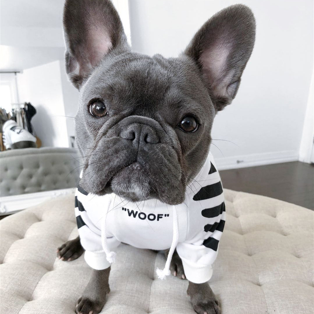 Woof-White Treats - Sweat à capuche blanc/noir