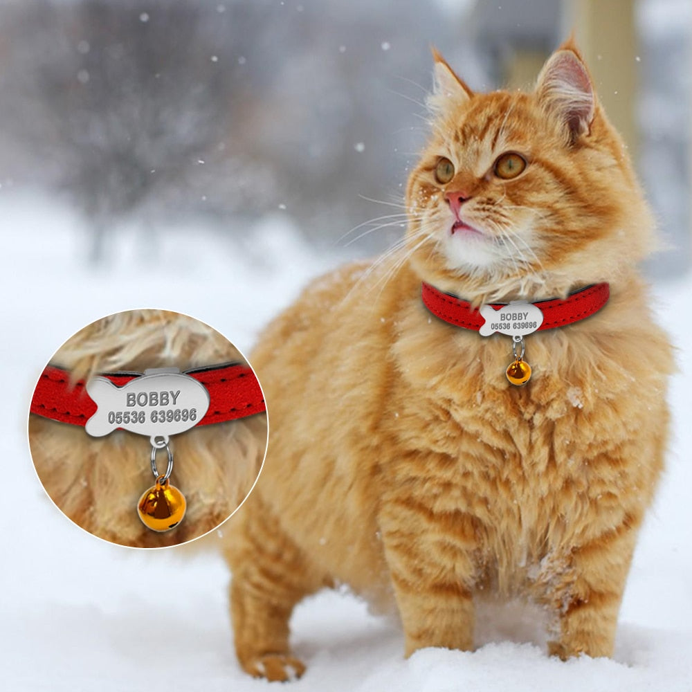 Collier en cuir pour chat avec étiquette d'identification personnalisée