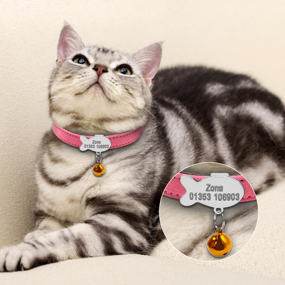 Collier en cuir pour chat avec étiquette d'identification personnalisée