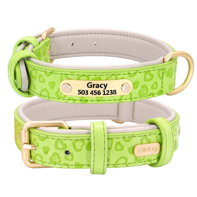 Collier Didog Neon Collection