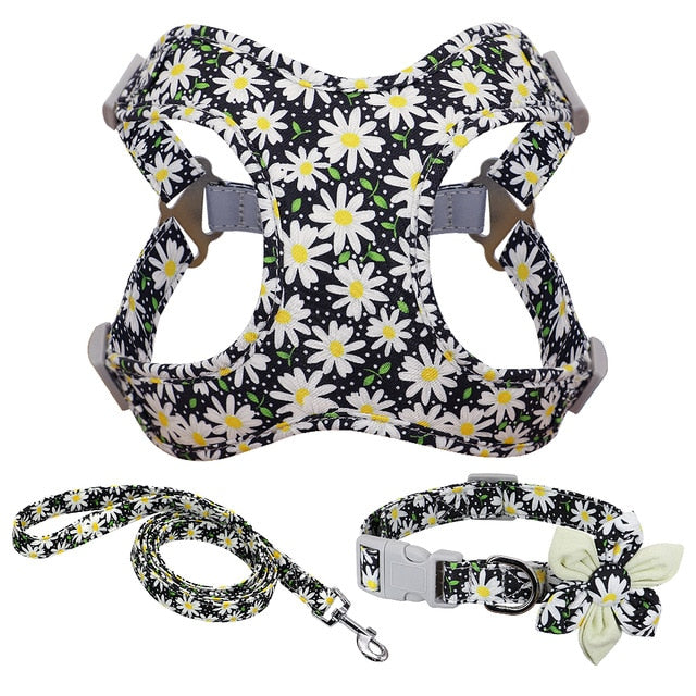 Ensemble collier, harnais et laisse de la collection Flower