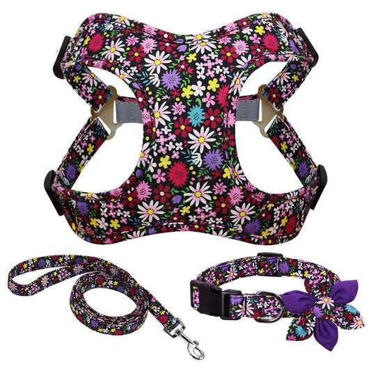 Ensemble collier, harnais et laisse de la collection Flower