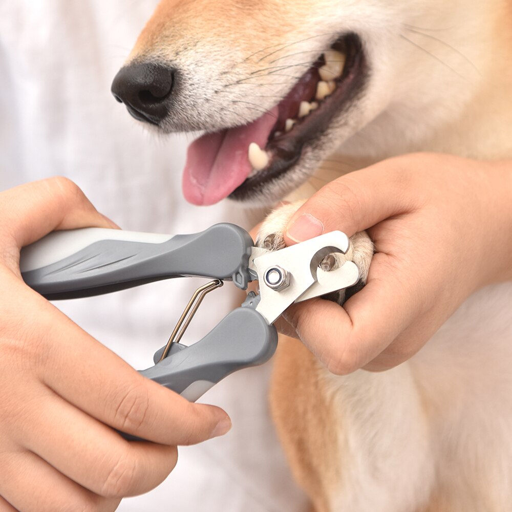 Coupe-ongles pour chien