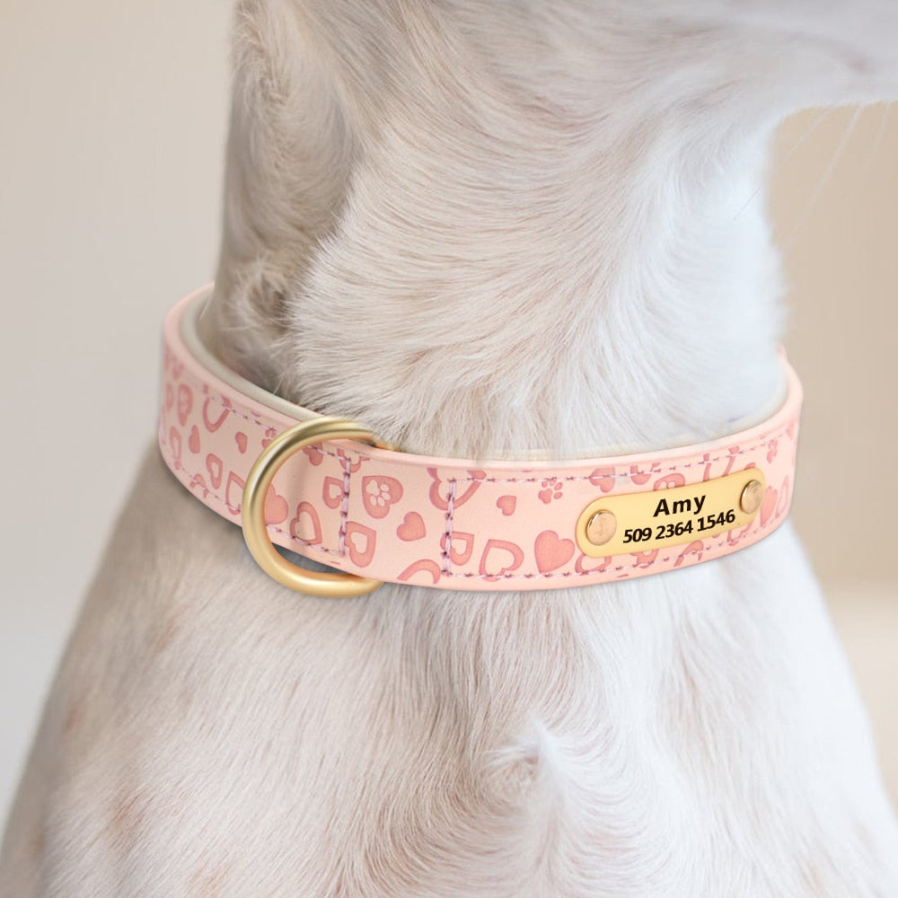 Collier Didog Neon Collection