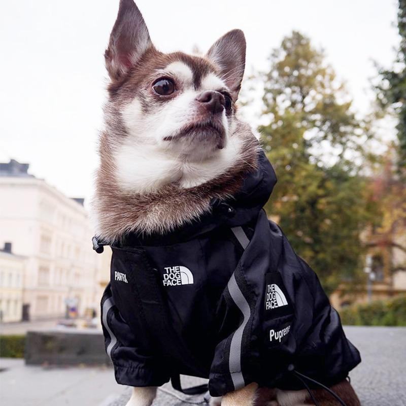 Veste coupe-vent pour chien xs- 5XL