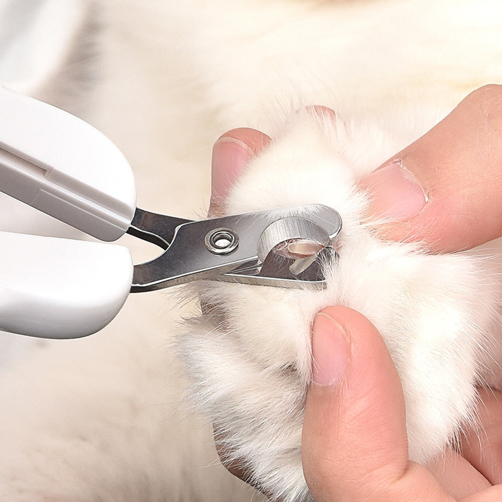 Coupe-ongles pour chat