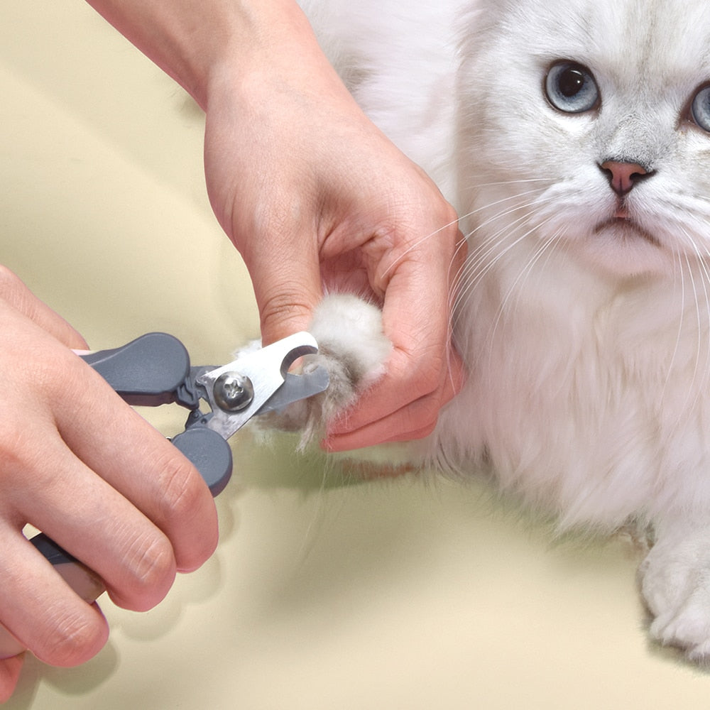 Coupe-ongles pour chat