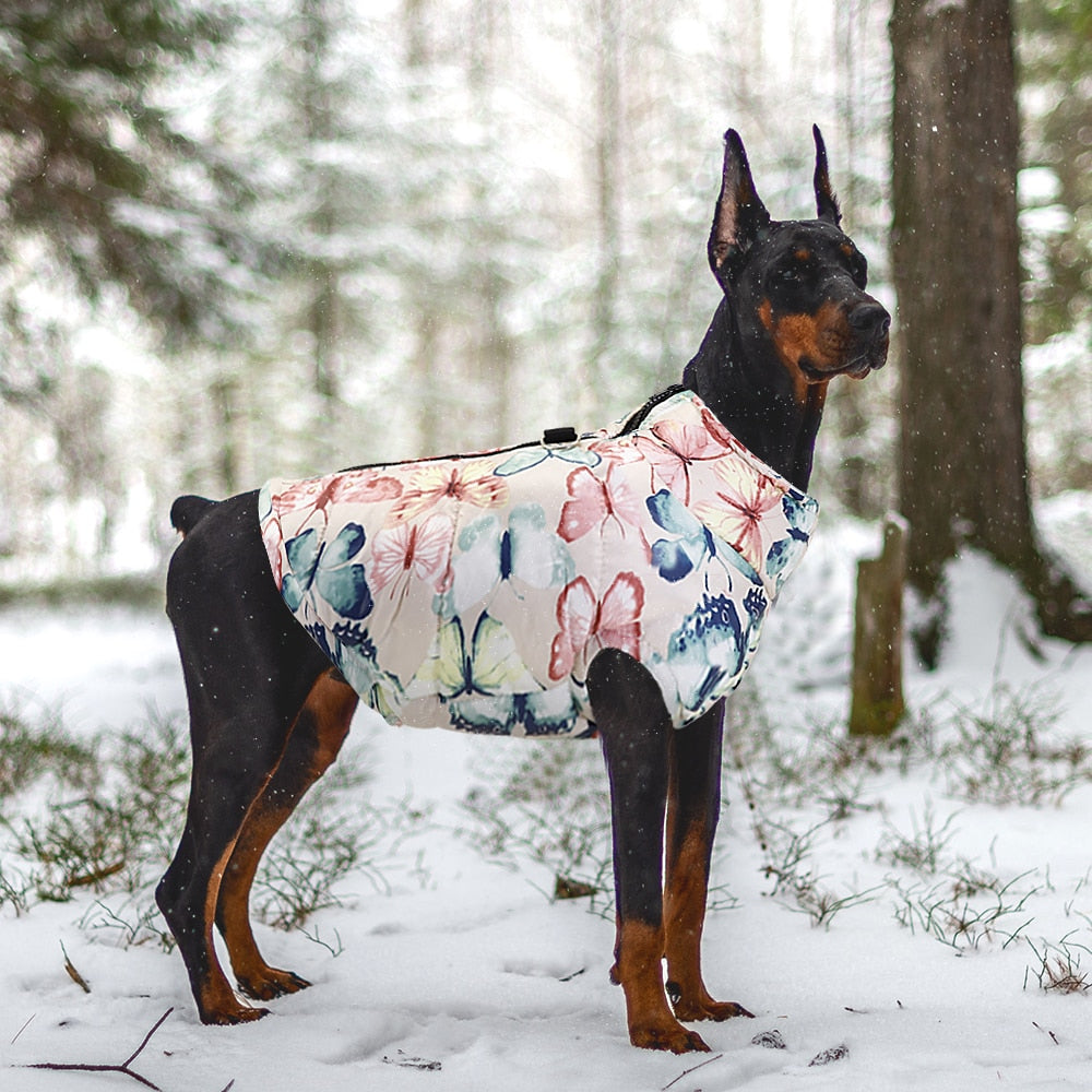 Collection de Gilets d'Automne