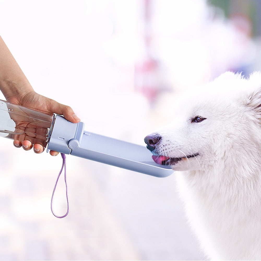 Grande bouteille d'eau de voyage