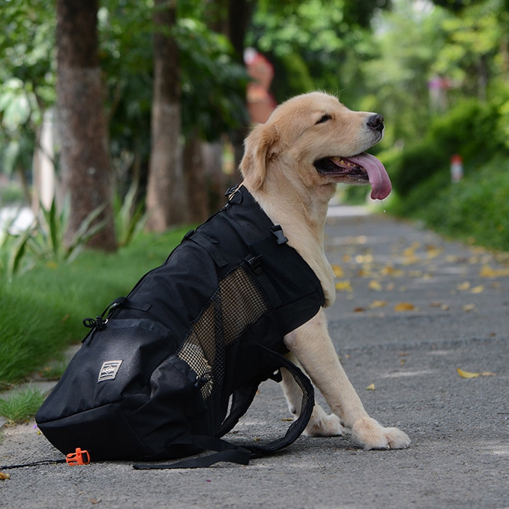 Sac à dos de collection de voyage