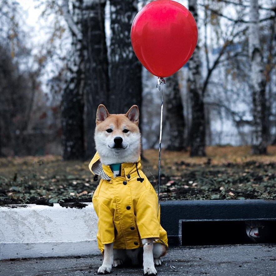 Imperméable Paw des Garçons