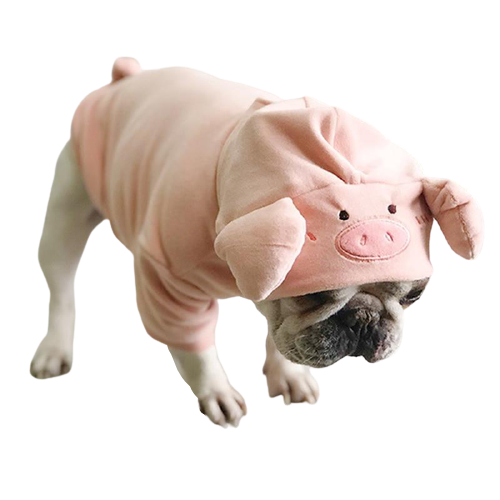 Costume de cochon pour chiens